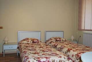 Отель Hotel Milenium София Двухместный номер с 2 отдельными кроватями и бесплатной частной парковкой-1